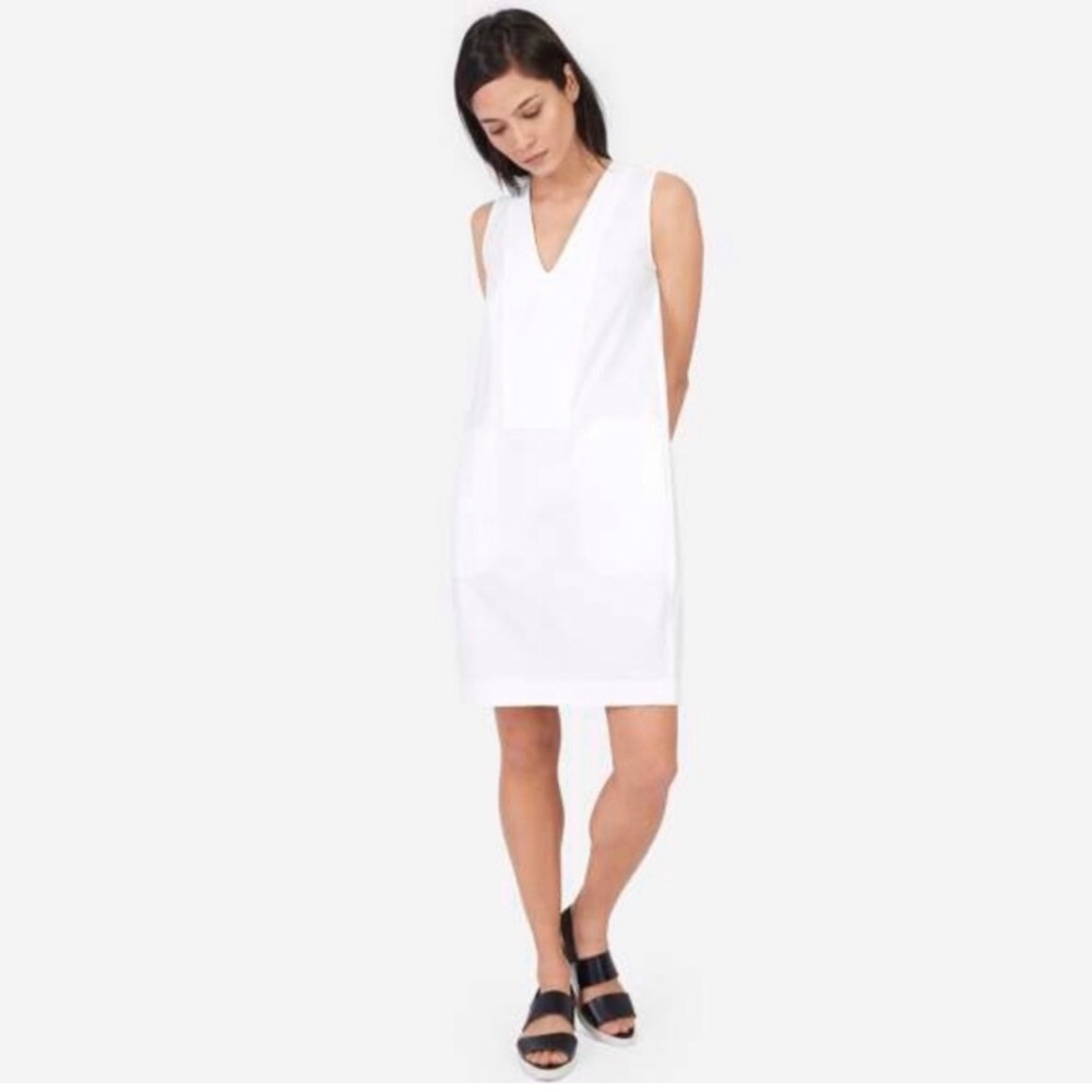 Everlane Japanese GoWeave Sleeveless Dress